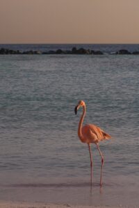 Aruba CX campus switch hardware in a data center rack for AOS-CX network infrastructure setup.